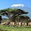 Ol Tukai Lodge Amboseli