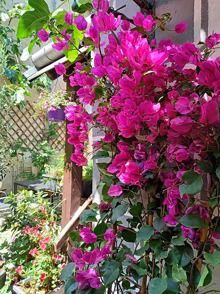 Gästehaus auf der Kunstmeile