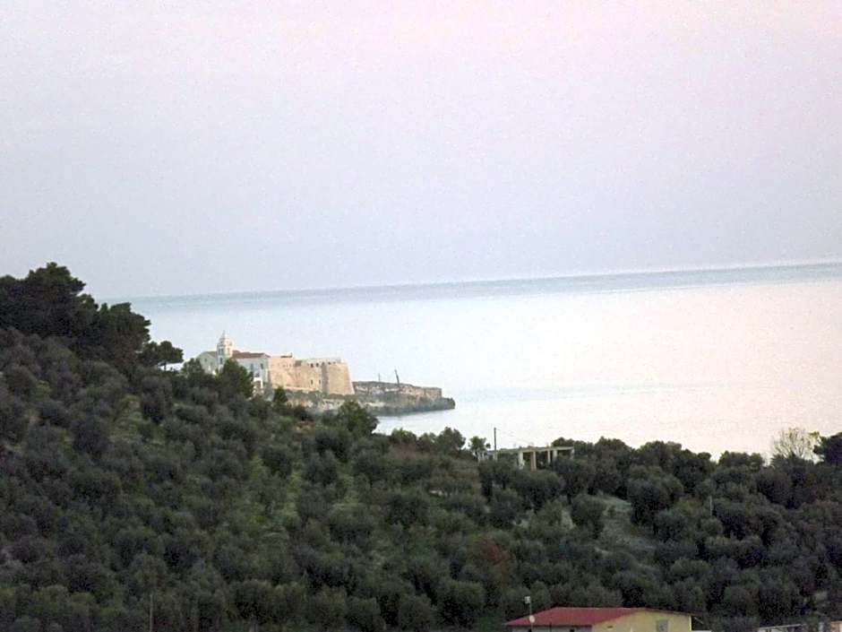 Residenza Collina Dei Pini