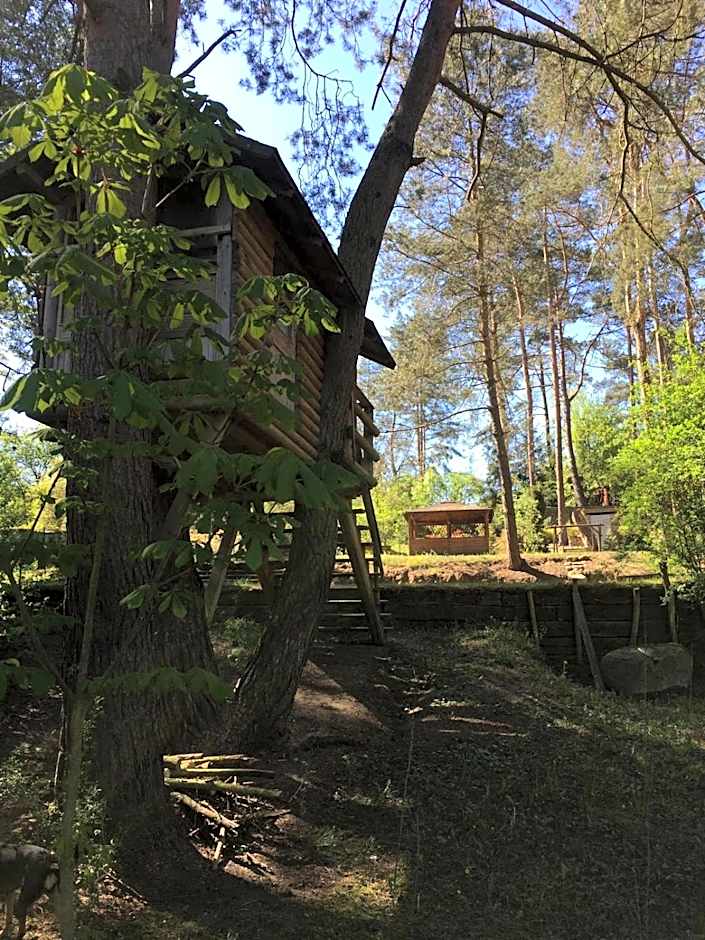 Domek z bali Tryszczyn nad Brdą