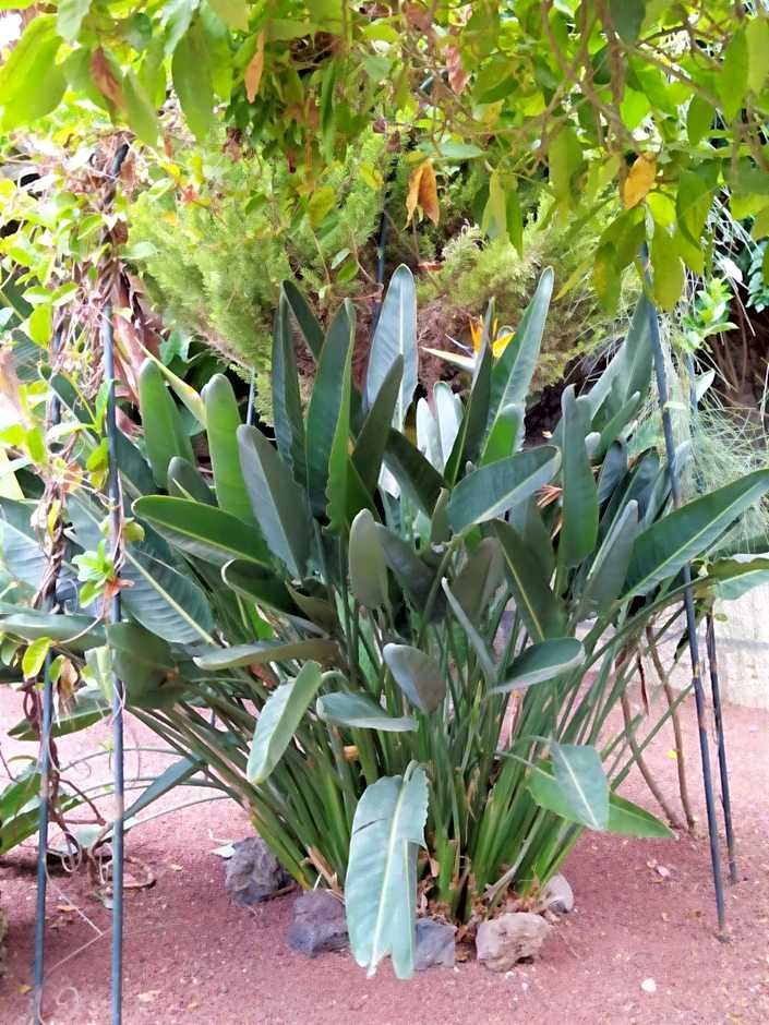 Hotel Rural Senderos de Abona