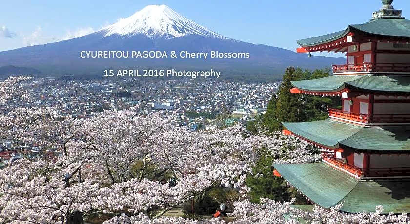 Kawaguchiko Lakeside Hotel