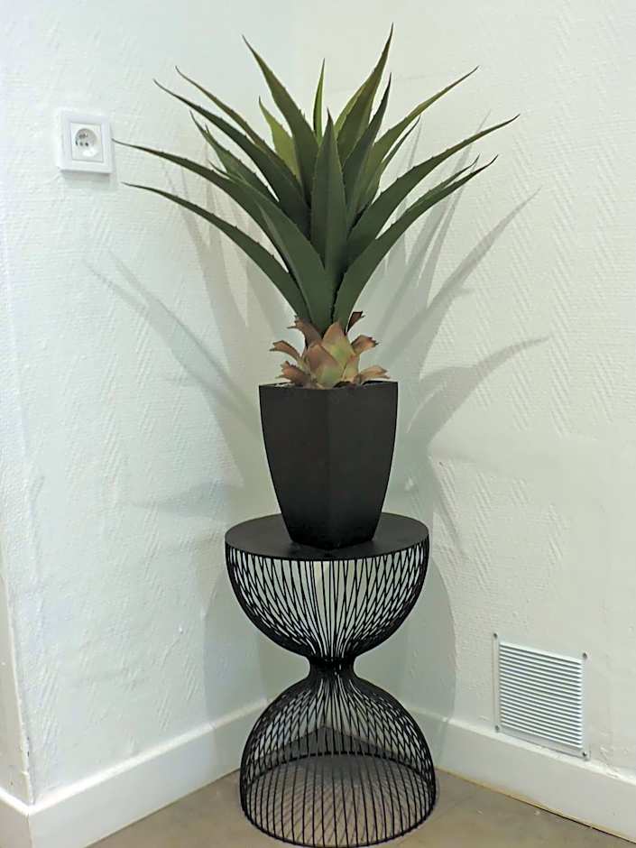 Icone Hotel - Annecy