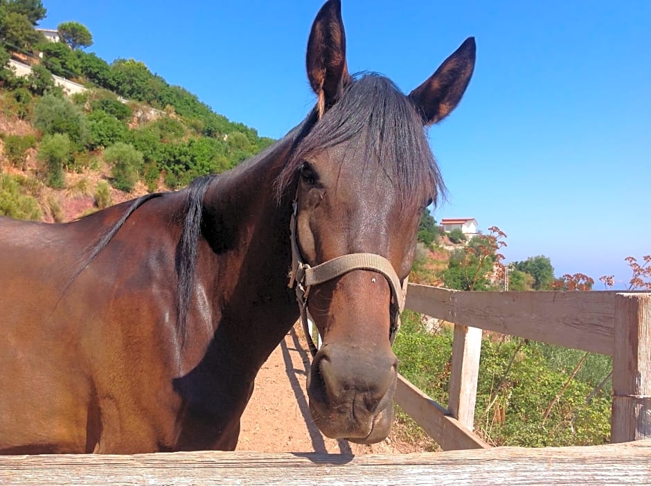 Hotel Agriturismo Santa Margherita