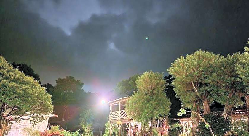 Taiwan Reishi Expert Bed and Breakfast