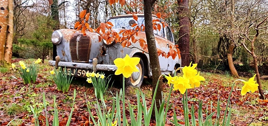 The Miners Log Cabin
