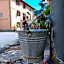 Albergo Ristorante Monte Piella