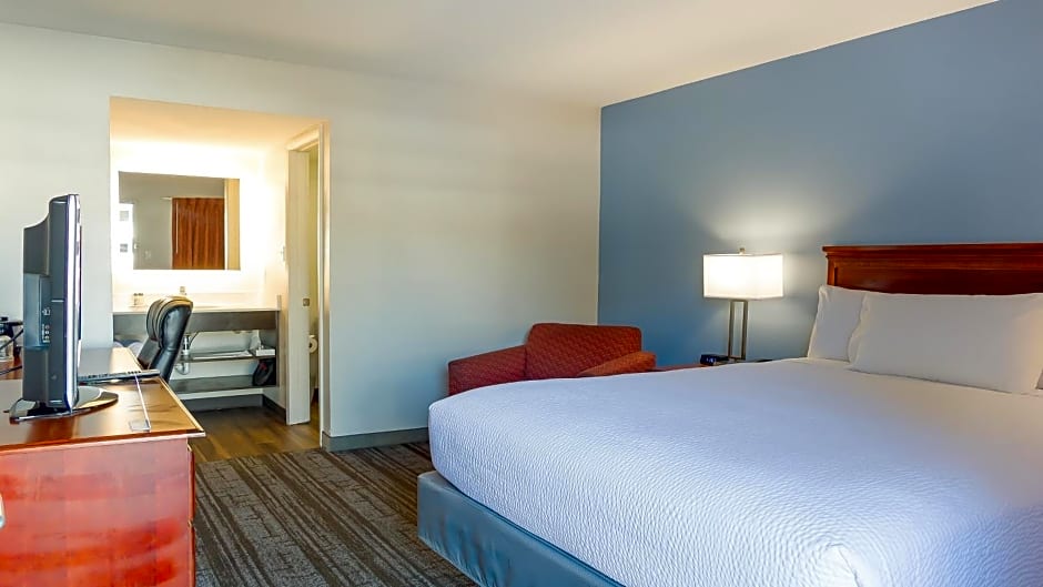 Hotel South Tampa & Suites