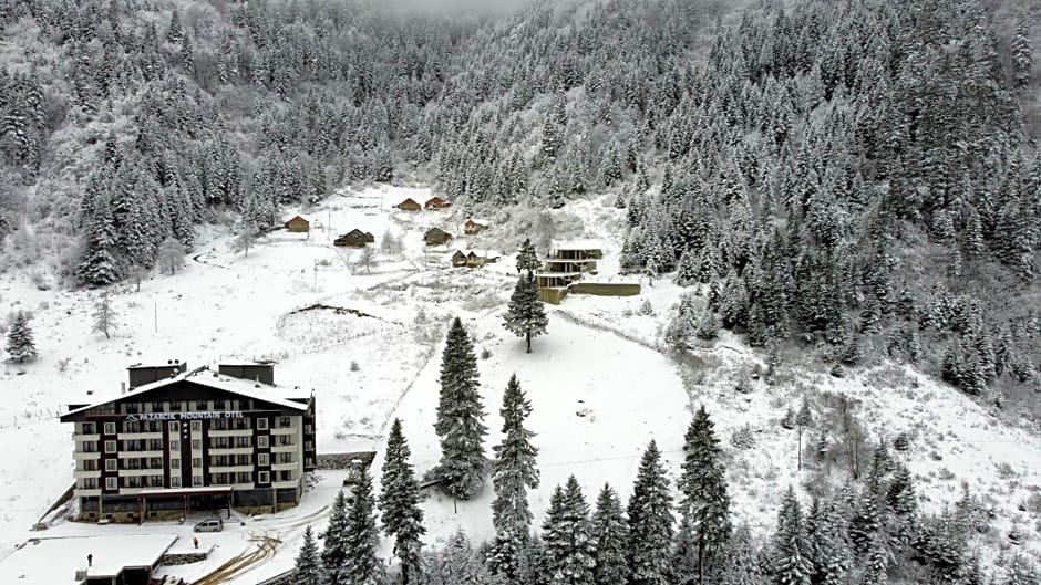 PAZARCIK MOUNTAIN HOTEL