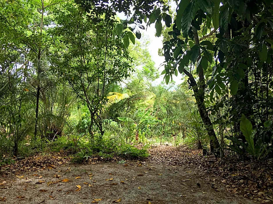 Hostel Morere – Moreré, Ilha De Boipeba, IN