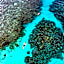 C Rodrigues Mourouk - Rodrigues Island