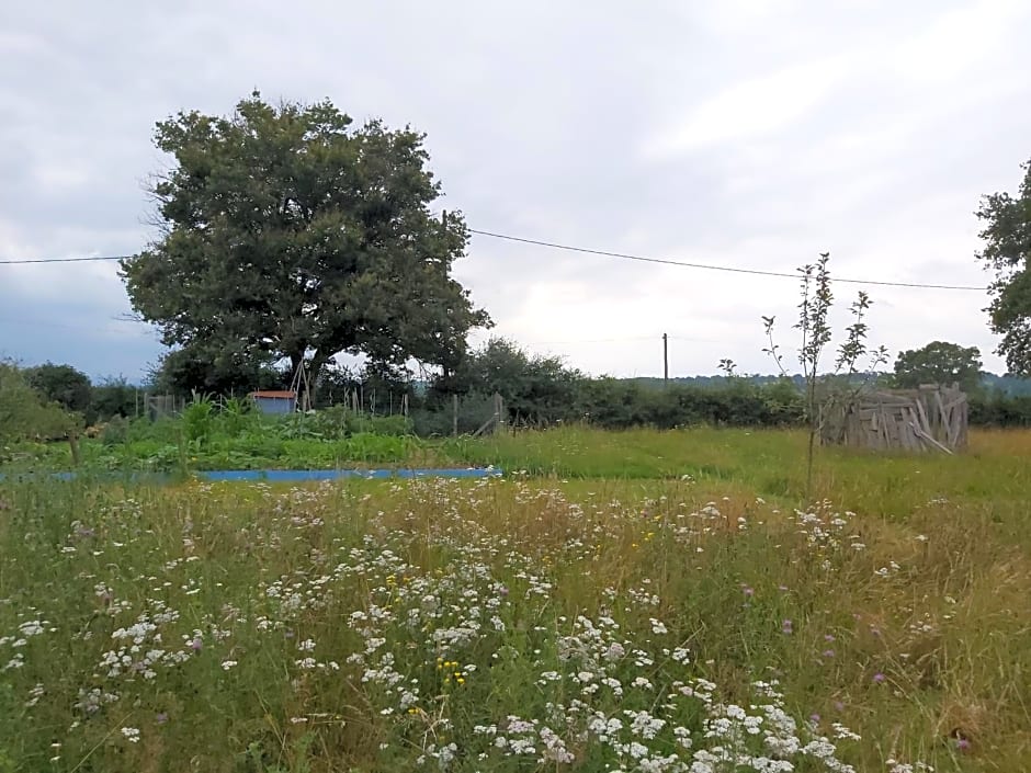 Gite du jardin du Bout du Ciel