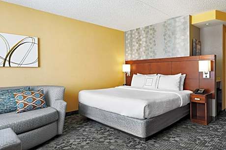 Suite, 1 King Bed with Sofa bed (1 King Bed and 1 Double Sofa Bed)