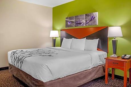 1 King Bed, Nonsmoking