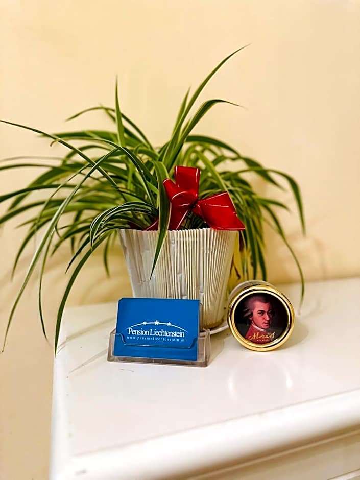 Pension Liechtenstein