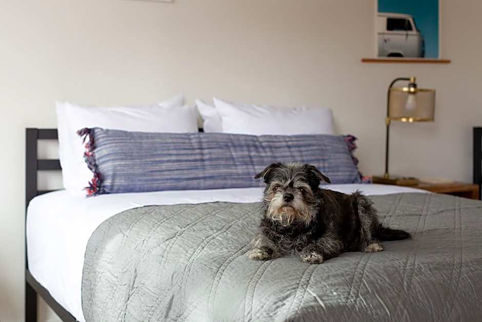 Spoke and Vine Motel