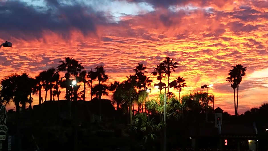 Driftwood Beach Motel