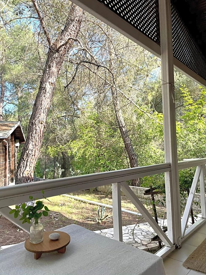 Olympos Angels Garden