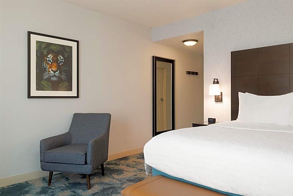 Hampton Inn By Hilton And Suites Baton Rouge