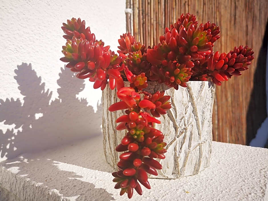 Family Surf Home - Hostel