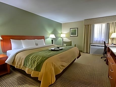 King Room with Sofa Bed - Non-Smoking