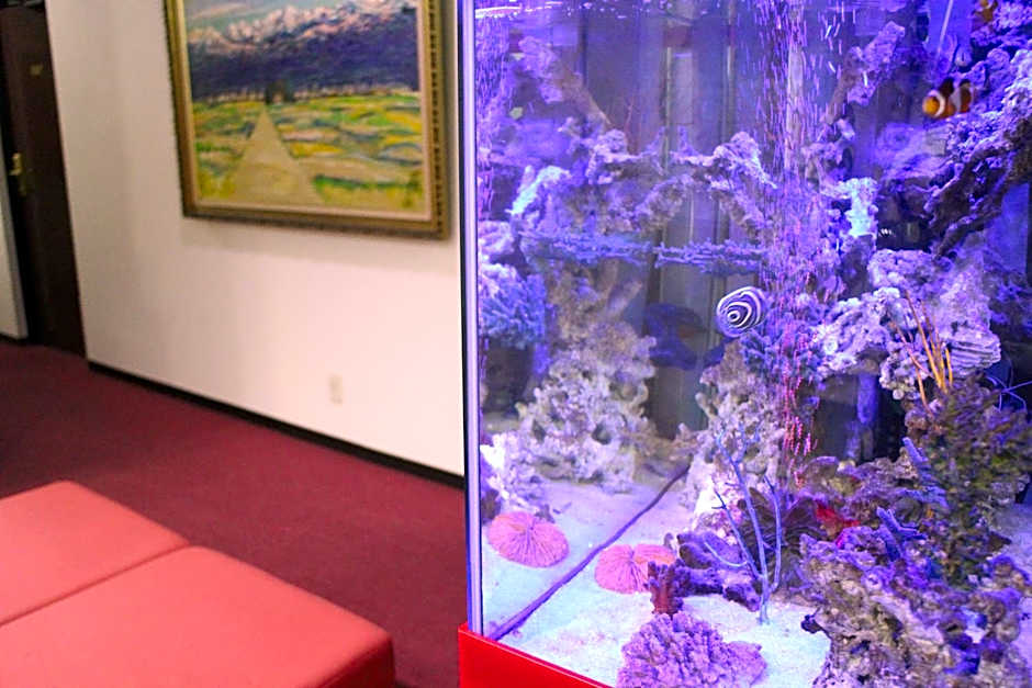 Business Hotel Raicho