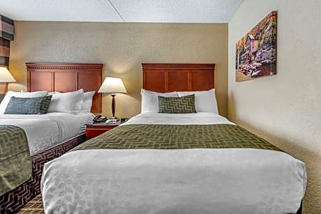 Double Room with Two Double Beds