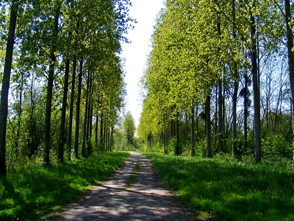 Chambres d'Hôtes Vignes et Loire