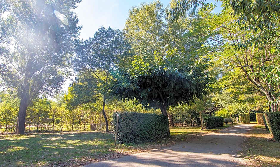 Hôtel du cros d'Auzon