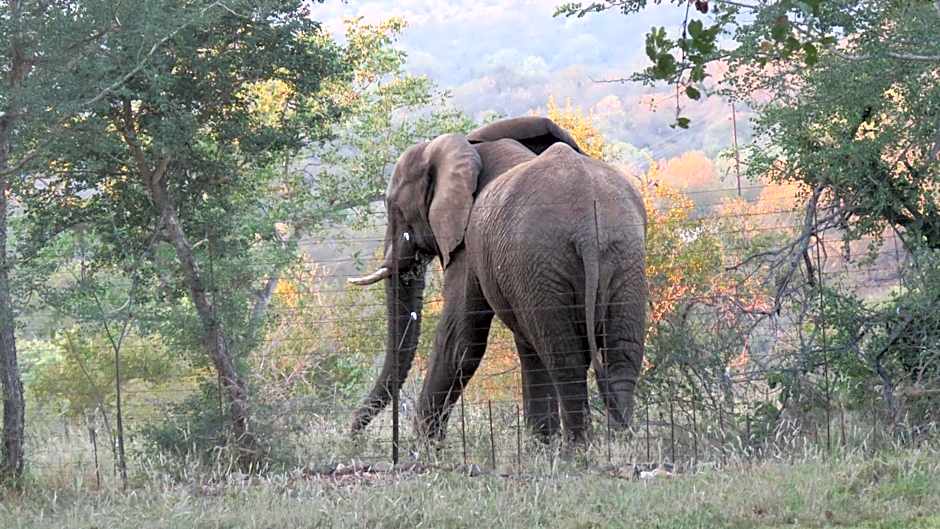 isiLimela Game Lodge