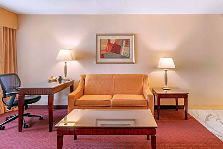 SUITE-1 KING BED,NSMK,HI SPEED NET,JACUZI,REFRIG,COFEMAKR,FULL BREAKFAST