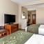Comfort Suites Johnson City near University