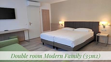 Modern Family Room with Mountain View