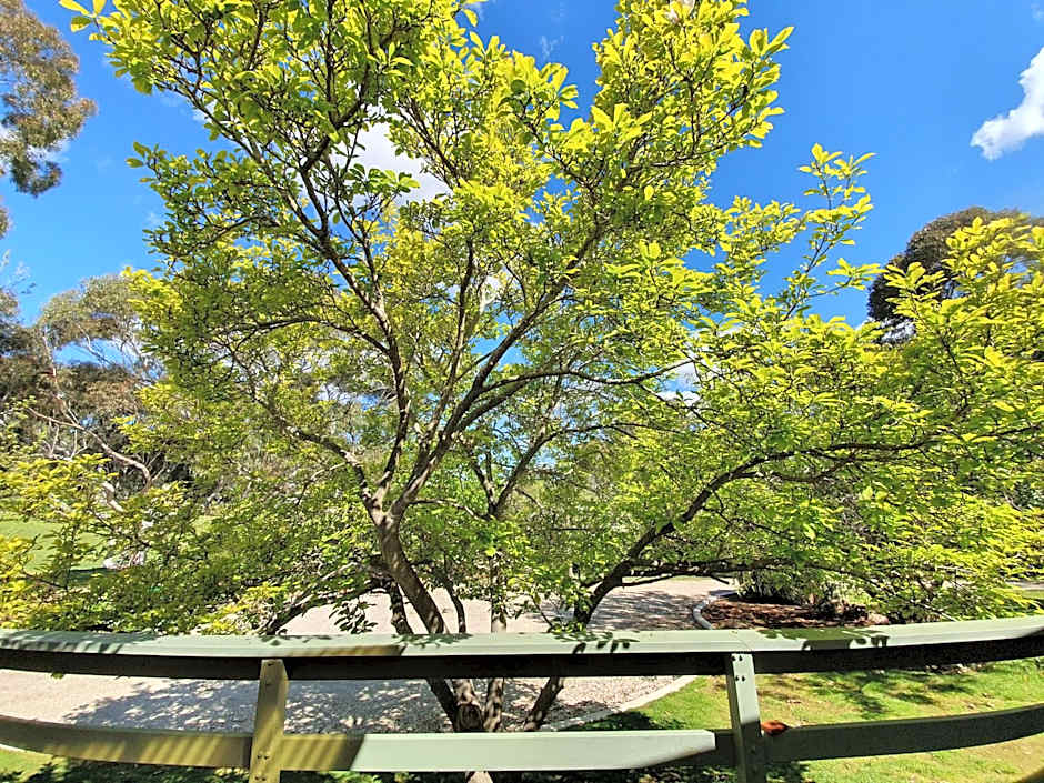 Golden Heritage Apartments Beechworth