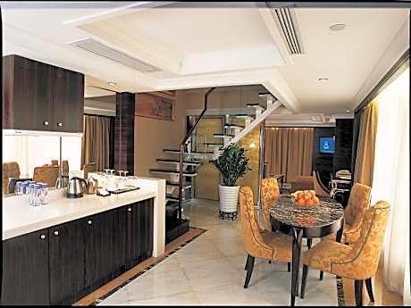 Duplex Apartment