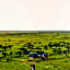 Serengeti Sametu Camp