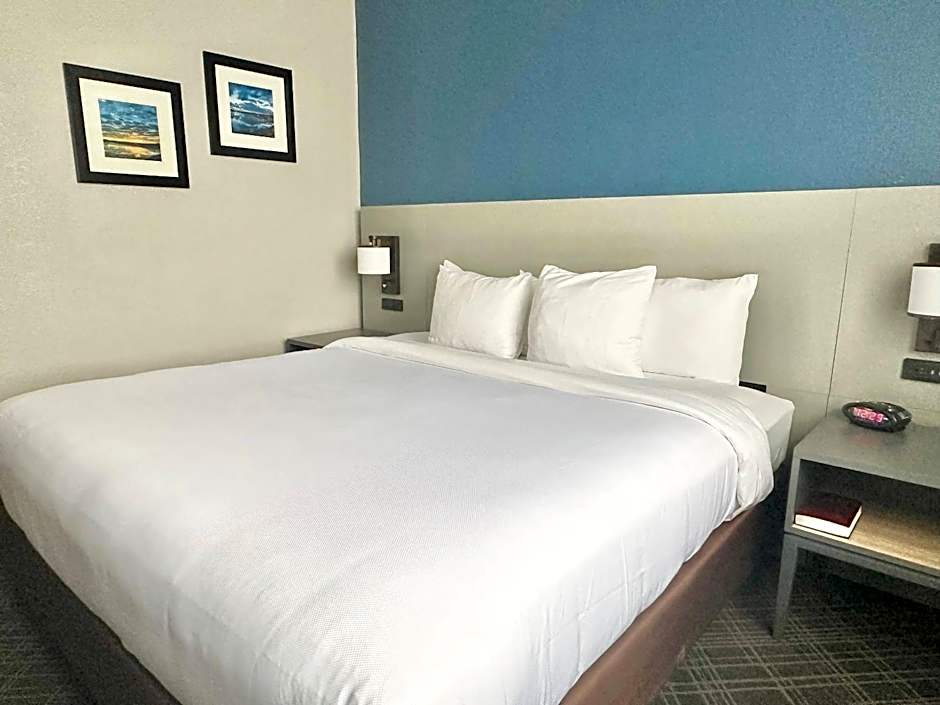 Comfort Inn & Suites Cartersville - Emerson Lake Point