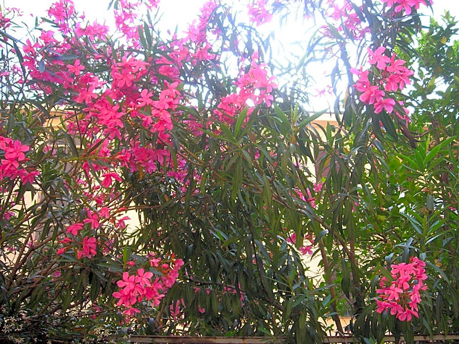 Residence Giusti 6