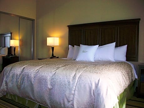 1 King Bed Deluxe Studio Nonsmoking