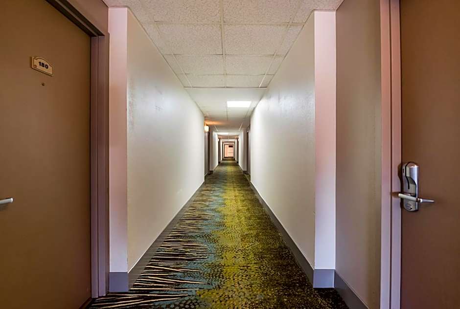 Red Roof Inn And Suites Newark - University