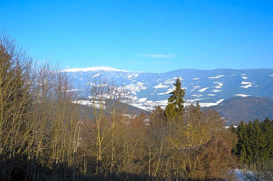 Gasthof Johannesmesner