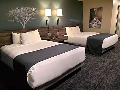 Queen Room with Two Queen Beds