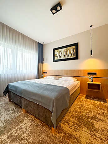 Large Double or Twin Room