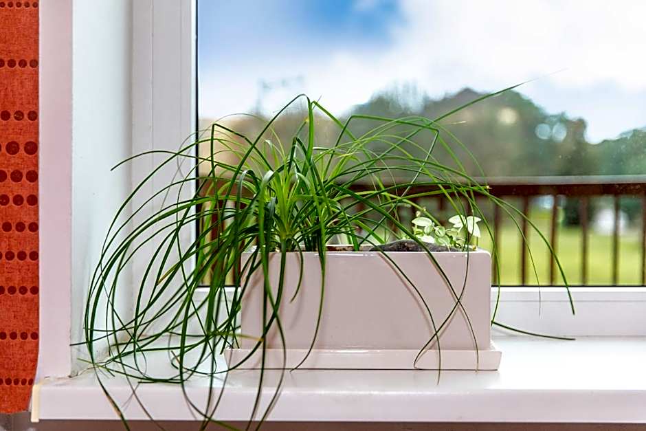 Poilsio namai "Vyturys"