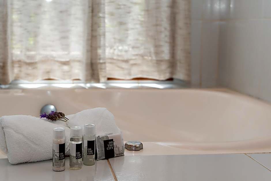 Pousada Boutique Vilage de Minas