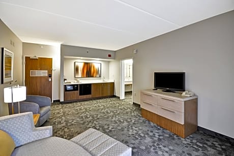 One-Bedroom King Suite with Sofa Bed