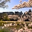 Rinn Gion Shirakawa