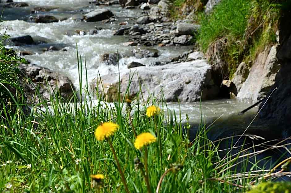 Dahoam by Sarina - Rooms & Suites