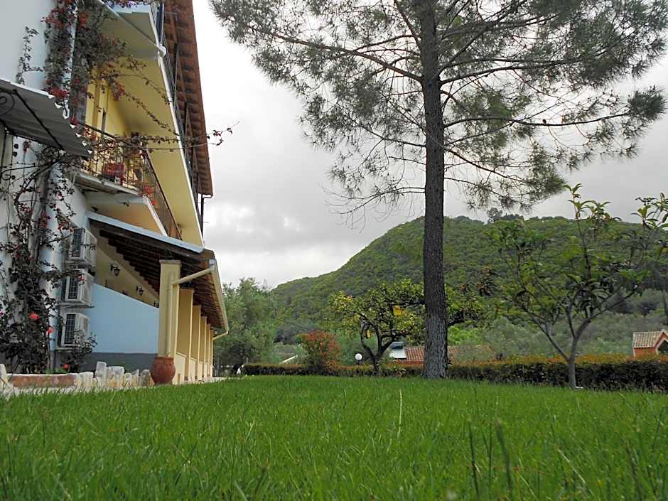 Anemona Studios