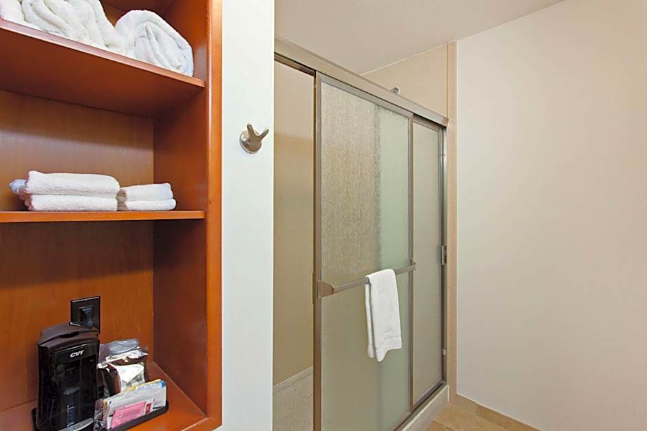 Hampton Inn By Hilton & Suites Clovis